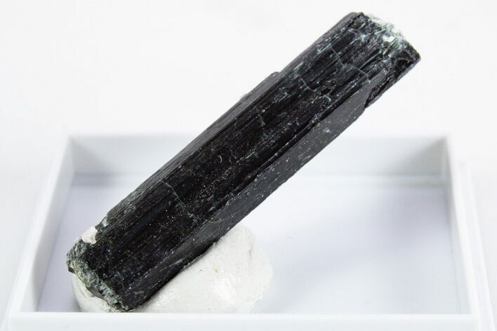 Black-Green Magnesio-Hastingsite Crystal - Norway #345860